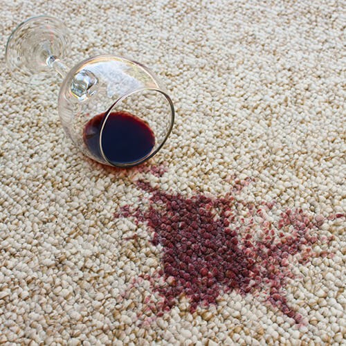 Spilled drink on Carpet | Pilot Floor Covering