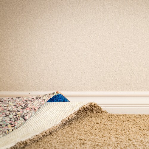 Carpet installation | Pilot Floor Covering