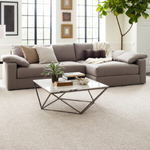 Living room carpet flooring | Pilot Floor Covering, Inc.