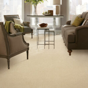 Carpet Inspiration Gallery | Pilot Floor Covering, Inc.